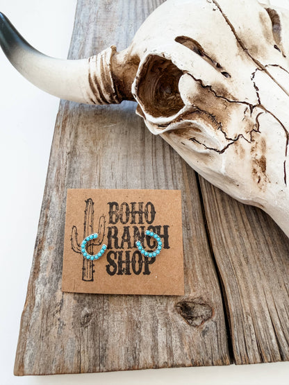 Dainty Western Style Horseshoe with Rhinestone Earrings: 1. Silver AB Clear