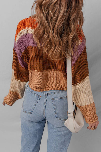 LDC Cropped Colorblock Knitted Sweater: Multicolour