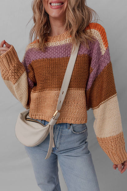 LDC Cropped Colorblock Knitted Sweater: Multicolour