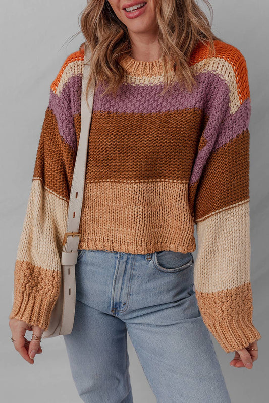 LDC Cropped Colorblock Knitted Sweater: Multicolour